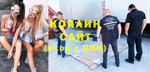 стафф Алзамай