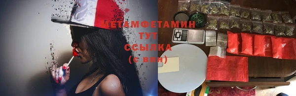 стафф Алзамай