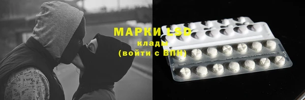 стафф Алзамай
