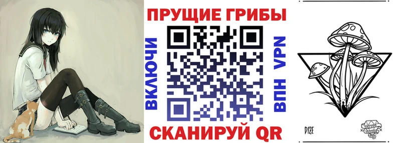 Галлюциногенные грибы Psilocybe  Енисейск 